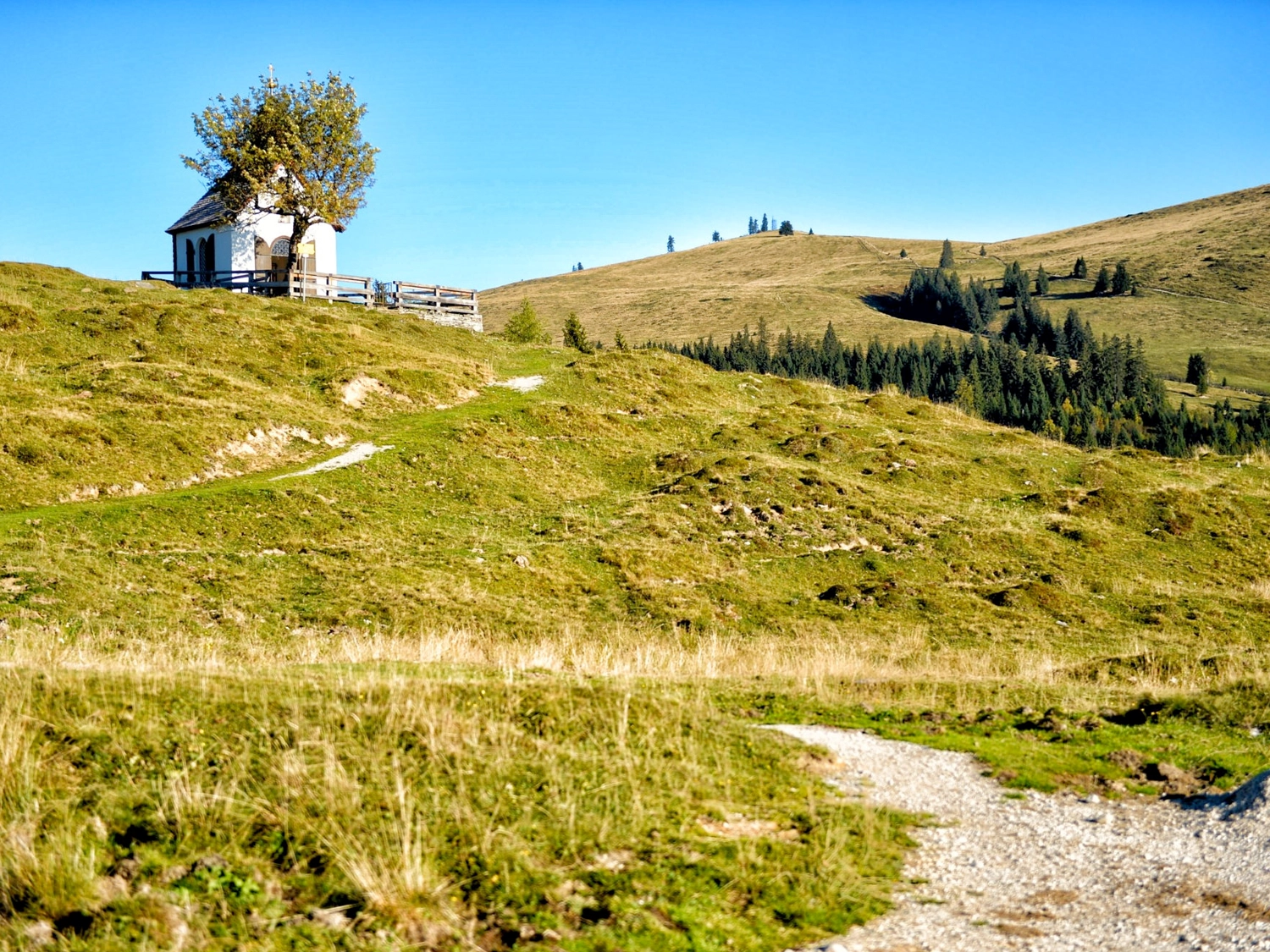 Postalm mit Blick auf das Dachsteinmassiv