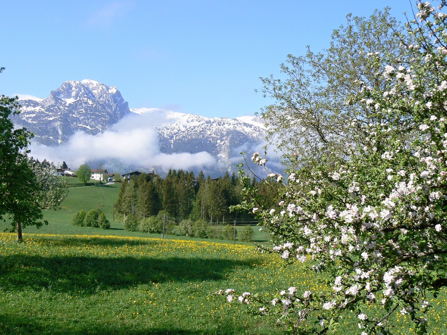 Abtenau im Lammertal zwischen Tennengebirge und Osterhorngruppe